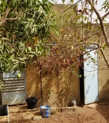 maison en vente à Ouagadougou à Bang Pooré