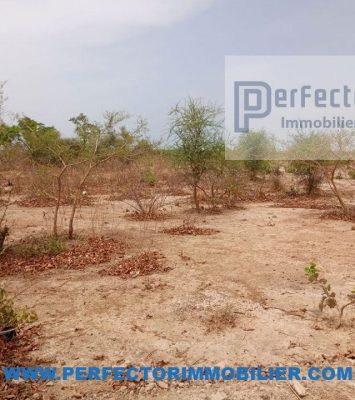 vaste-terrain-1,5-hectar-en-vente-à-boasso-ouagadougou